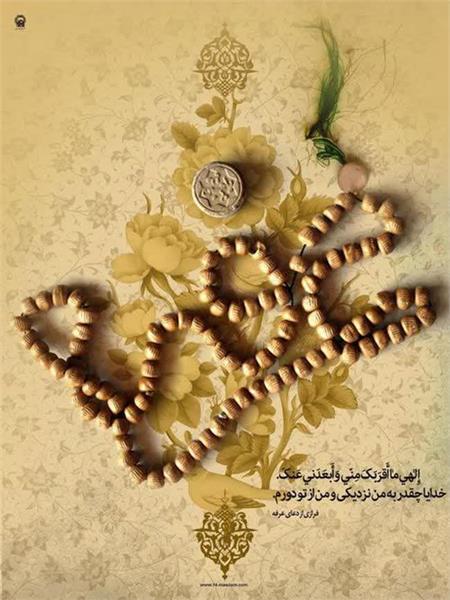 عرفه